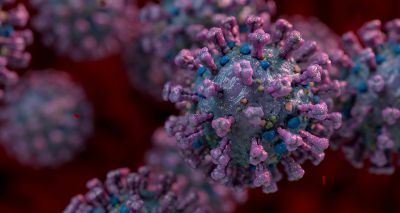 H5N1 virus mutating in humans, study finds